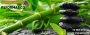 Imagen de decoracion zen