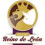 Imagen de Delicias Reino de León